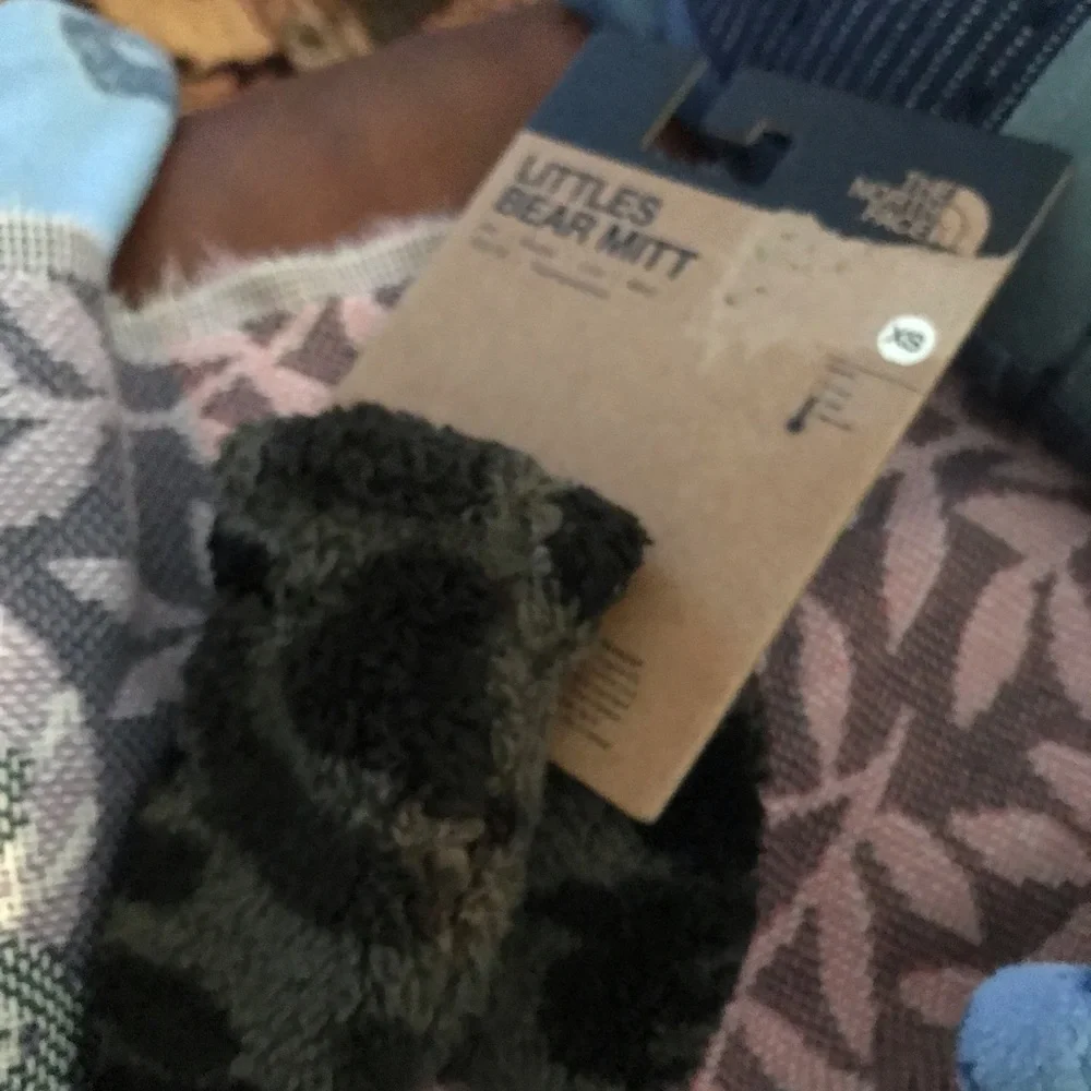 The North Face authentic north